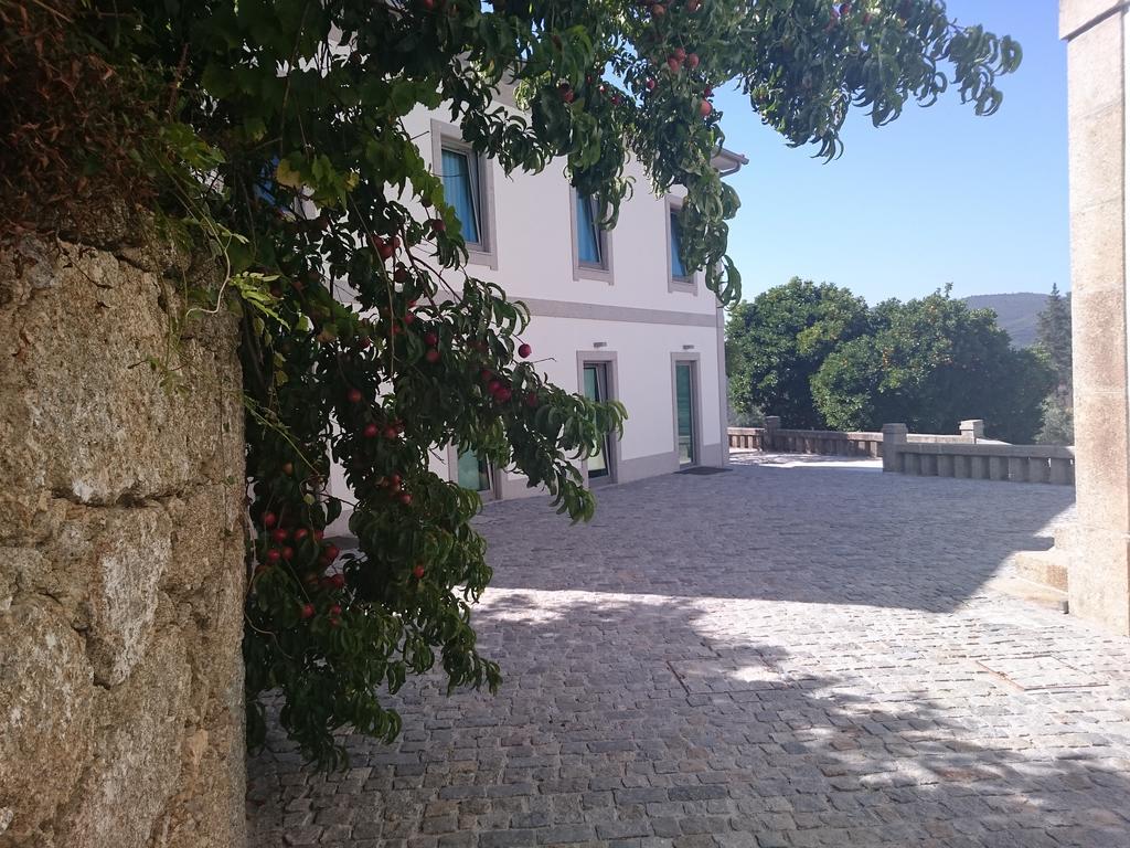 Solar Guesthouse Olival da Vinha Castelo de Paiva Exterior foto